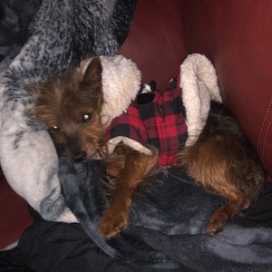 Meet your Posher, Justin